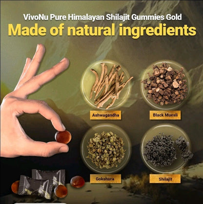 Himalayan Shilajit Gummies
